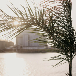 Eventlocation Manufaktur Heiraten in Mannheim